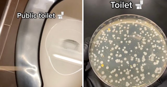 A masters student at the University of Toronto is sampling and culturing everyday objects to see jus...