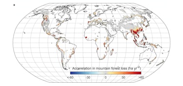 An image from the study shows where mountain forests have most rapidly disappeared 
