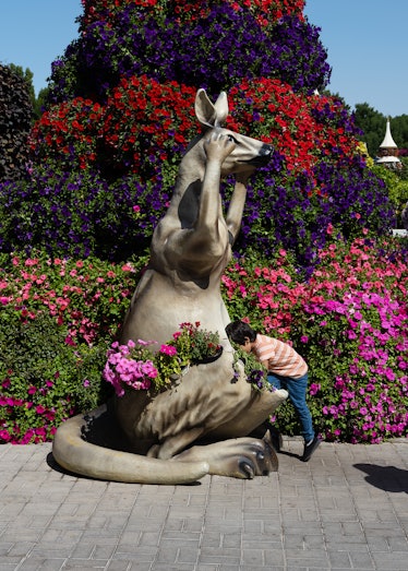 a boy standing in front of a kangaroo statue with flowers in the background
