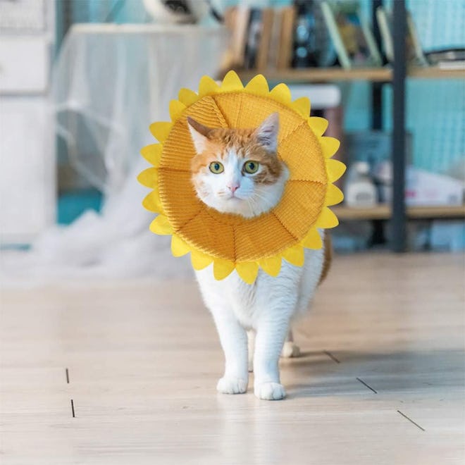 This cat cone alternative is made from soft and flexible fabric.