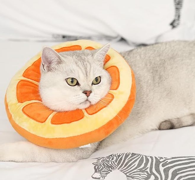 This cat cone alternative has a plush, pillow design.
