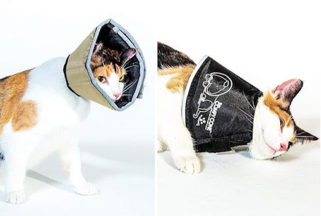 This cat cone alternative is padded for comfort and reversible.