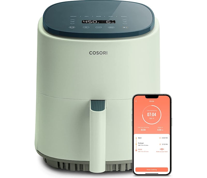 The 9 Best Air Fryers For Two People