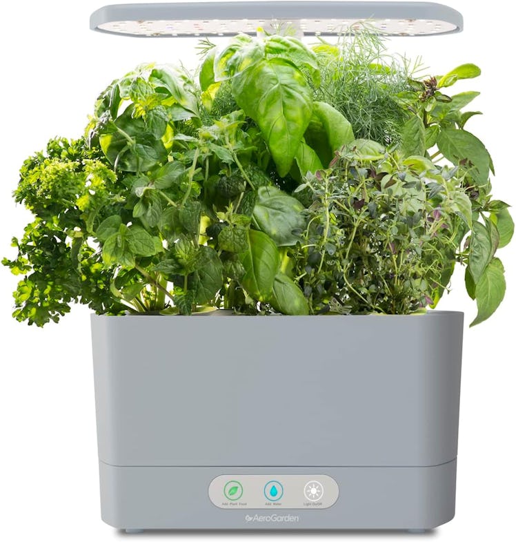 AeroGarden Harvest Indoor Garden