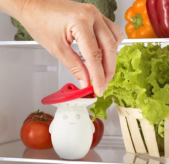 OTOTO Fun Guy Fridge Deodorizer