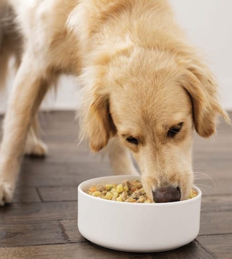 Nom Nom meals comes frozen and individually portioned so they're easy to serve your dog.