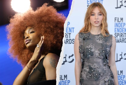 Celebrities like SZA and Sydney Sweeney have co-signed the copper hair color trend.