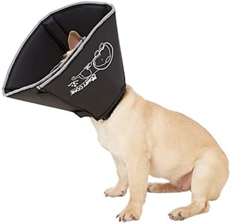Alternatives to the cone for dogs Clearance