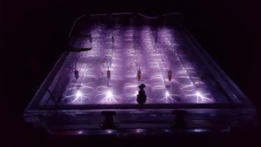 An image of a plasma reactor being tested by the Air Force to destroy PFAS.