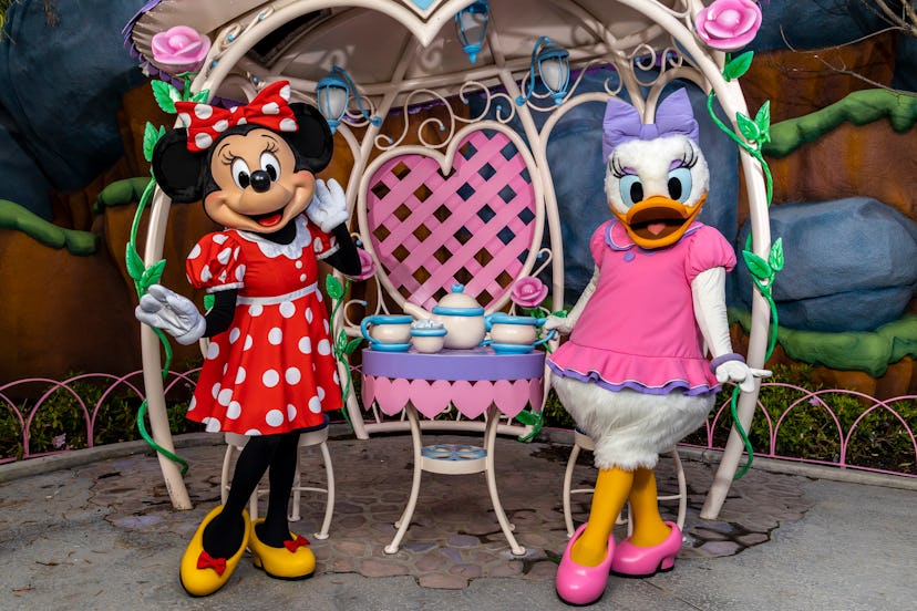 Minnie Mouse and Daisy Duck posing in Mickey's Toontown.
