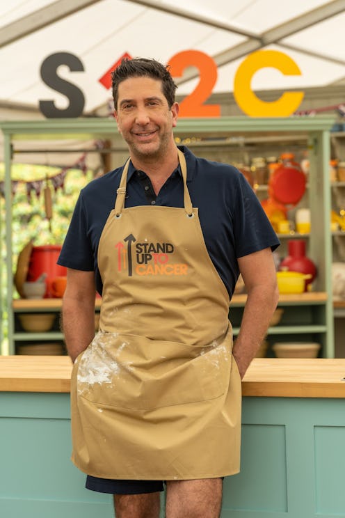 David Schwimmer on Celebrity Bake Off 