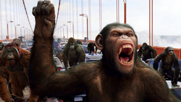 James Franco and Caesar in 'Rise of the Planet of the Apes.'