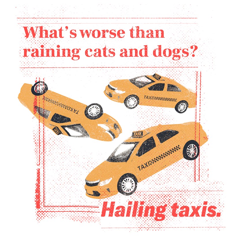 57978d42 ec38 4c4d 9335 14d2a08df020 internal taxis What’s worse than raining cats and dogs?