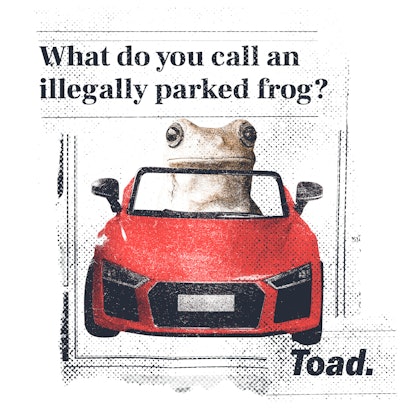 The Very Best Dad Jokes: What's an illegally parked frog? 