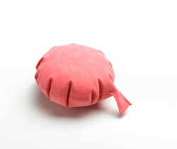 whoopie cushion representing april fool's day pranks