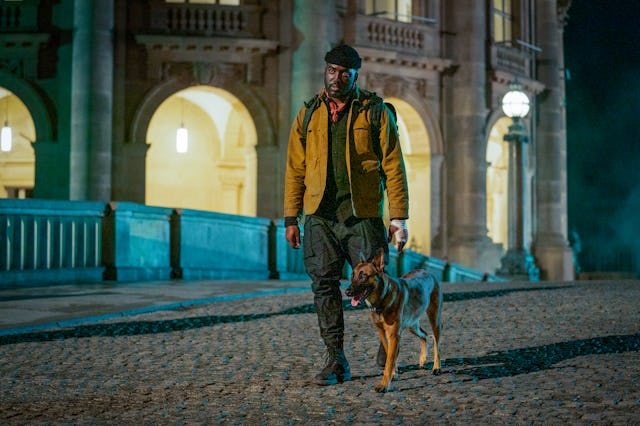 John Wick 4 star Shamier Anderson (Tracker) with his dog.