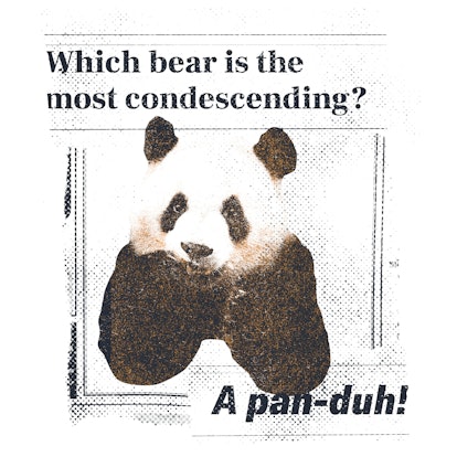 Which bear is the most condescending?