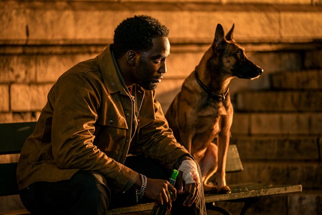 John Wick 4 star Shamier Anderson (Tracker) with his dog.