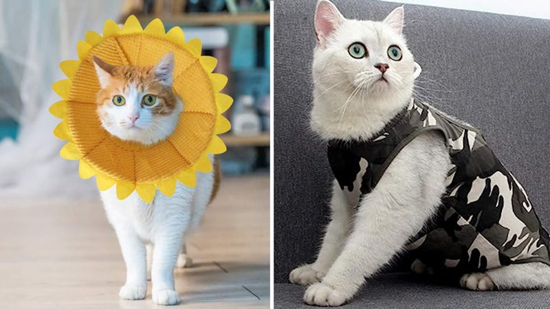 cat cone alternatives