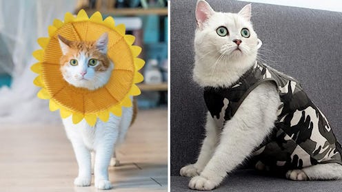 cat cone alternatives