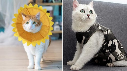 cat cone alternatives