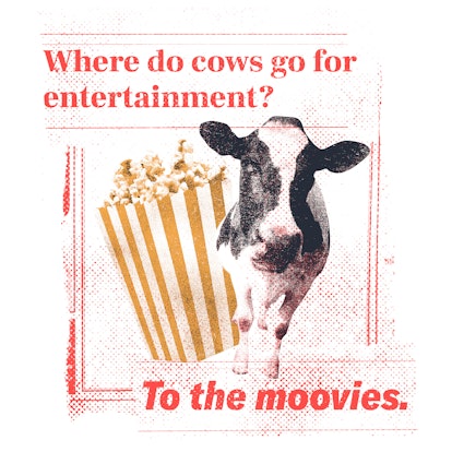 Where do cows go for entertainment?