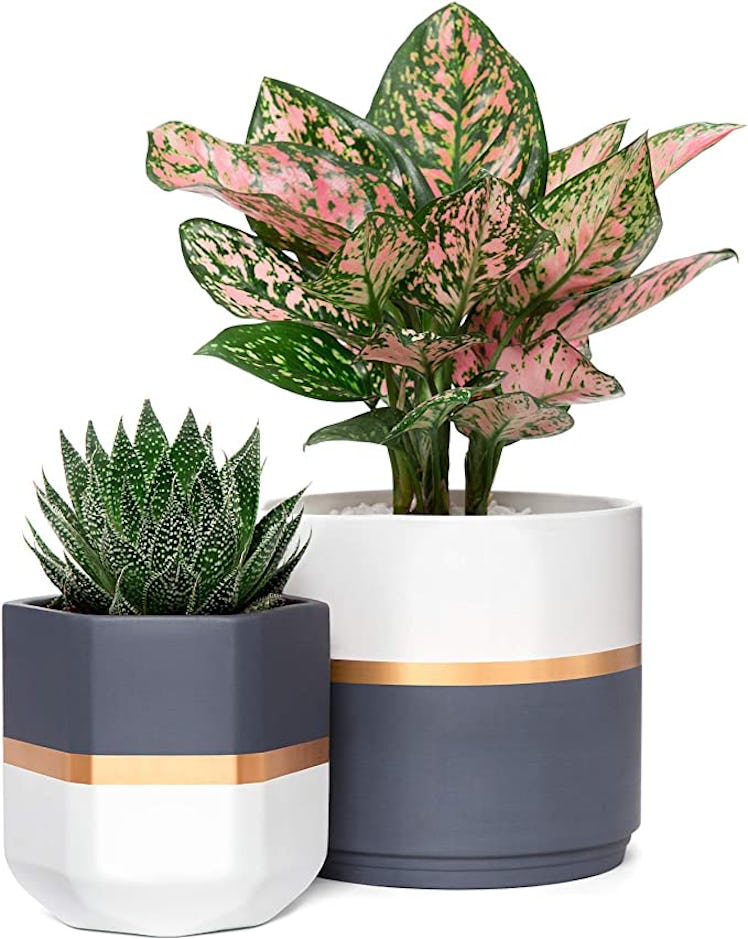 Mkono Ceramic Planters (Set Of 2)