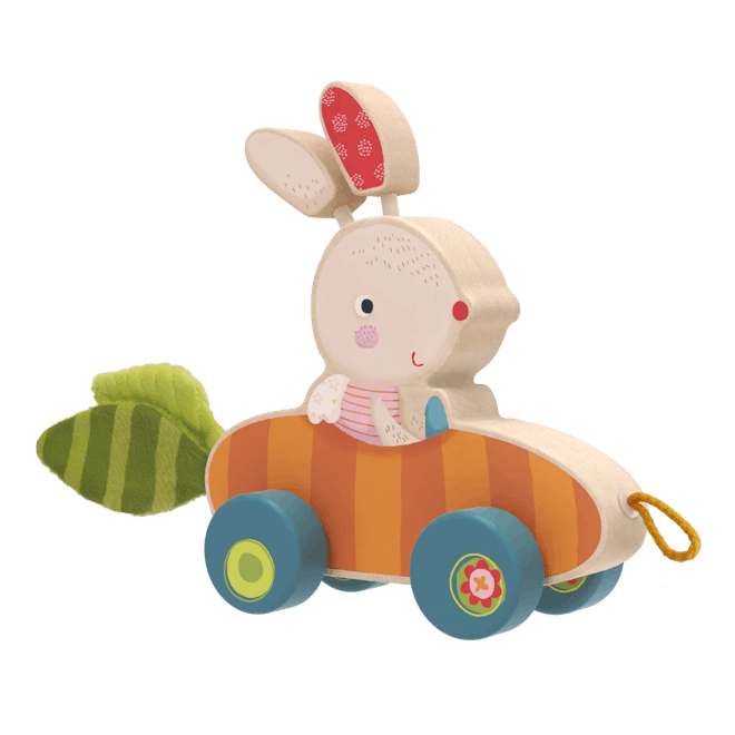 Bunny Pippa Push & Pull Toy