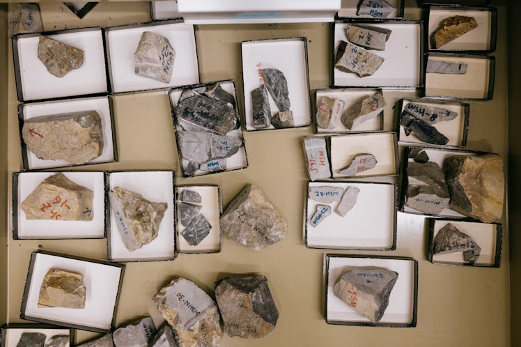 A bunch of rocks on a table