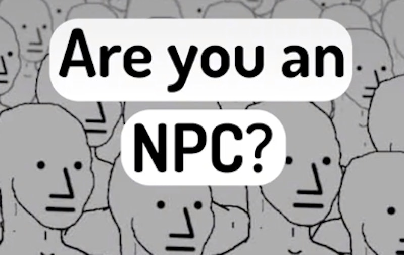 On TikTok, people are using the popular gaming term NPC. Here's what it means.