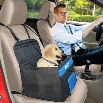 Henkelion Small Dog Car Seat