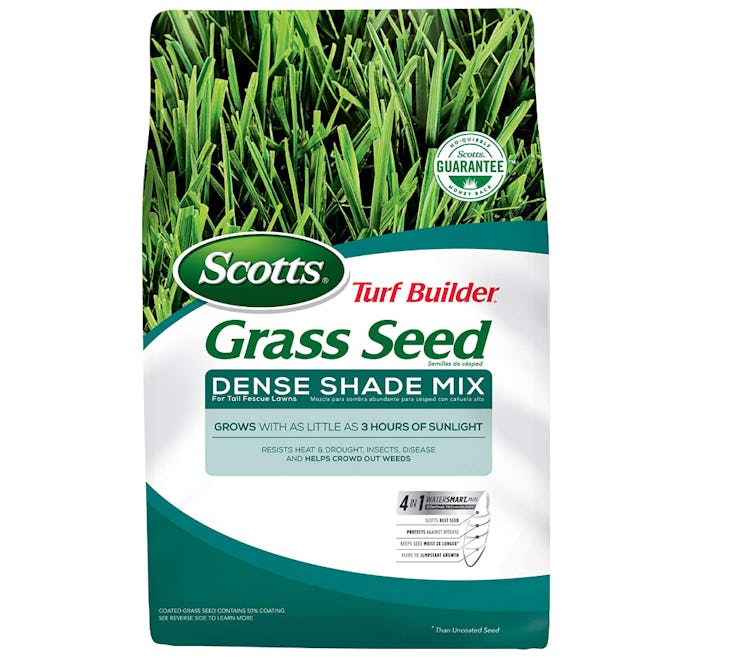 Scotts Turf Builder Grass Seeds