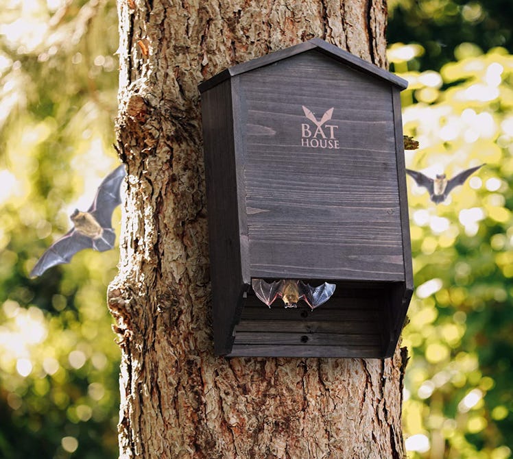 KIBAGA Wooden Bat House