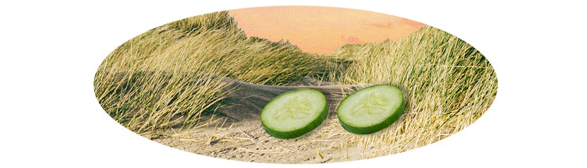 An illustration of cucumber slices for a face mask in a field for Advice For Taking Care Of You
