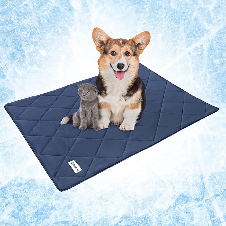 PetAmi Premium Cooling Dog Blanket
