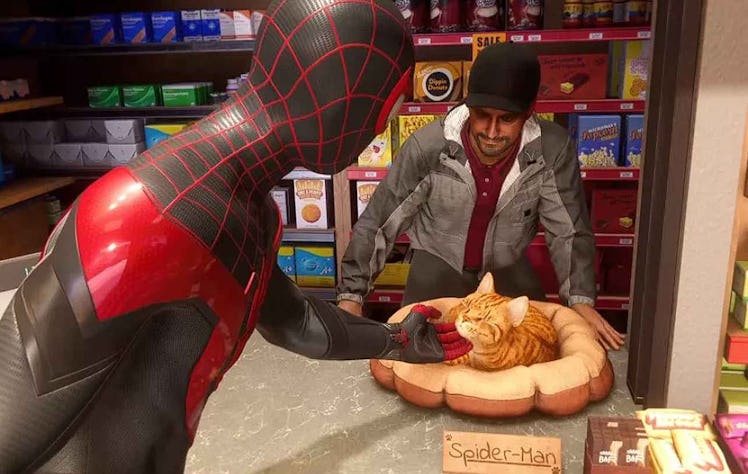 Spider-Cat Marvel's Spider-Man: Miles Morales