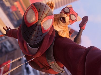 Mile Morales Spider-Man Bodega Cat Costume