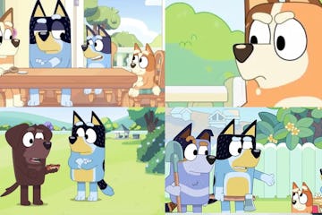 禁播布鲁斯剧集