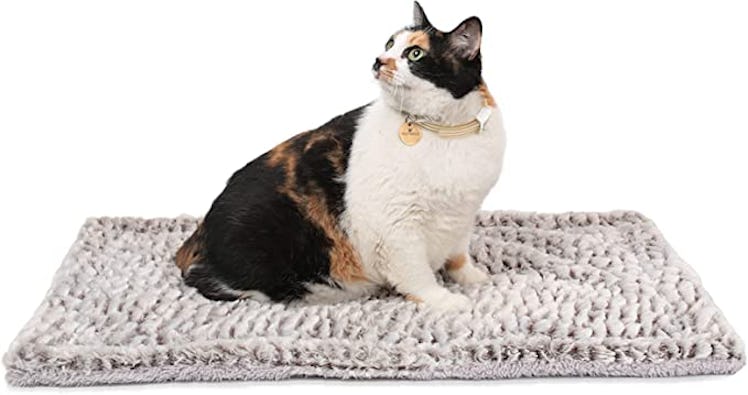 Mora Pets Self Heating Cat Pad