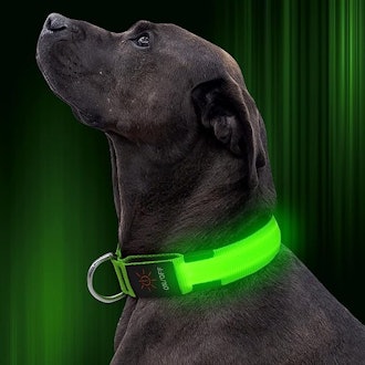 Illumifun LED Dog Collar