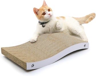 Coching Cat Scratcher