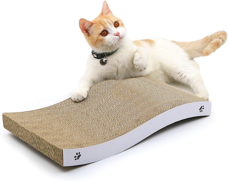 Coching Cat Scratcher