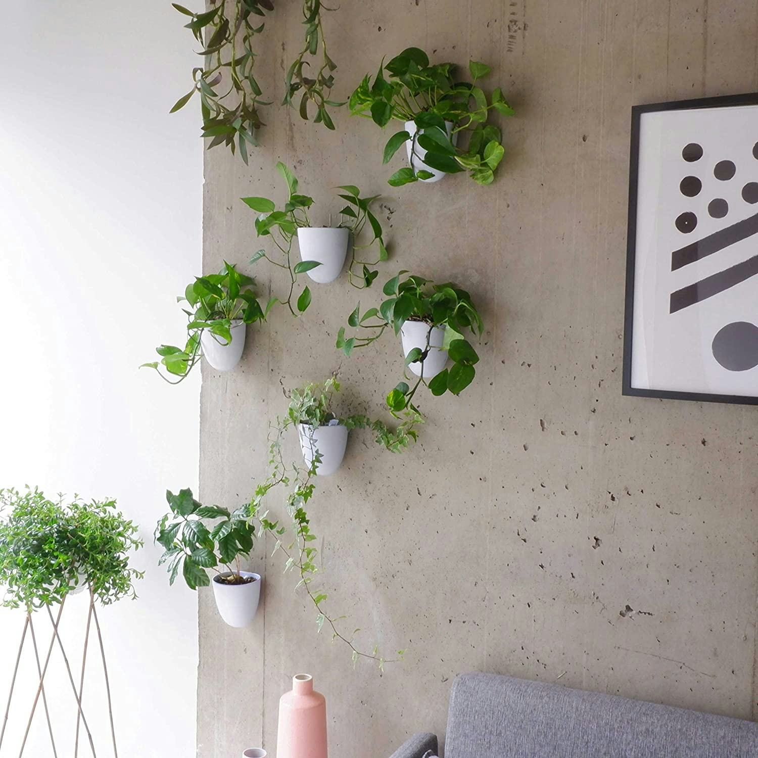 Make Good Virgo Self-Watering Wall Planters (Set of 3)