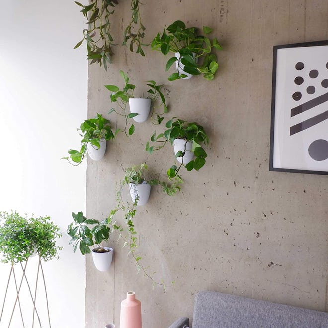 Make Good Virgo Self-Watering Wall Planters (Set of 3)