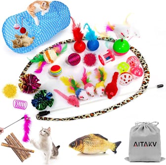 AILUKI Cat Toys (Set of 31) 