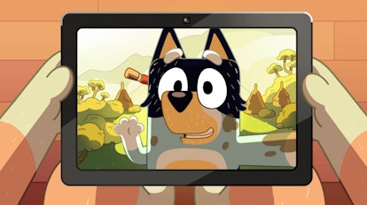 Bandit on a video call in "Curry Quest."