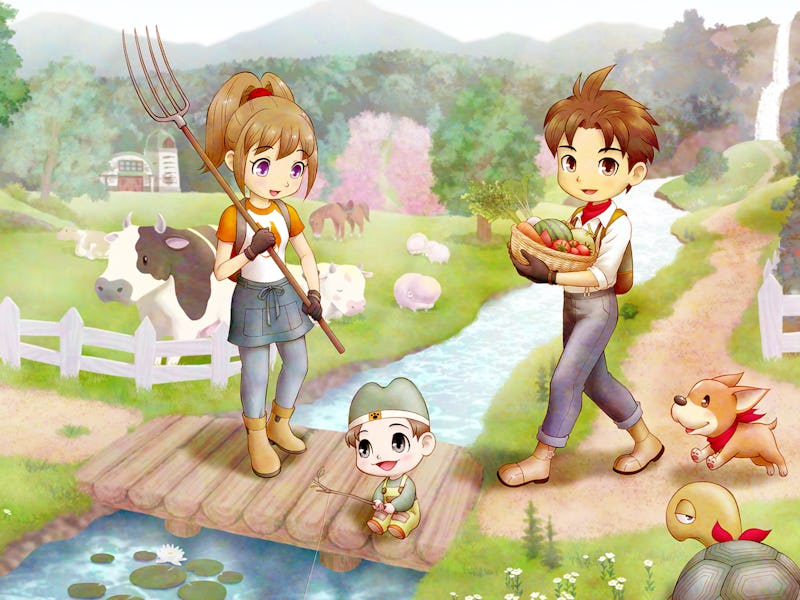 Male and female farmer working on farm