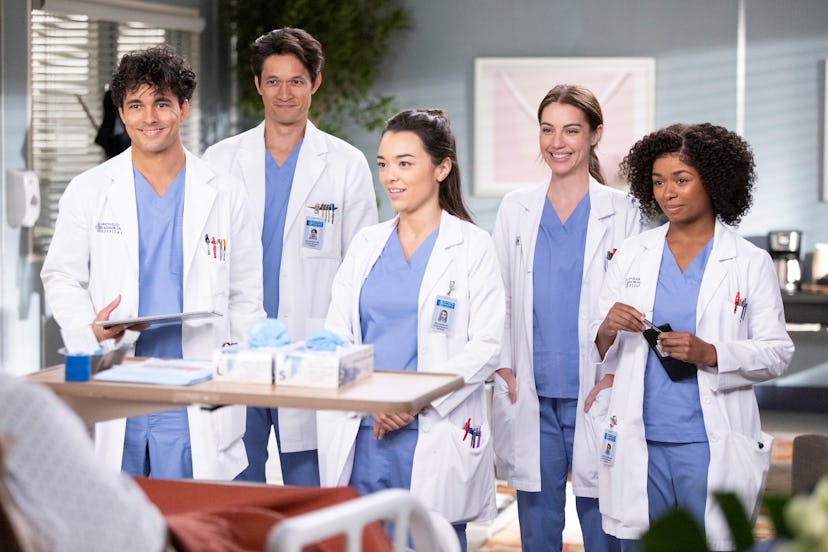 The new 'Grey's Anatomy' interns will have a chance to continue their story in Season 20.