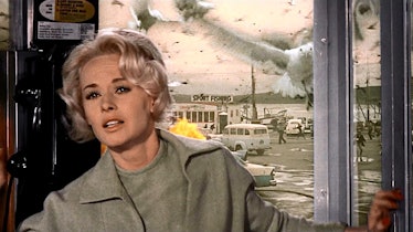 Tippi Hedren shelters herself inside a phone booth in The Birds