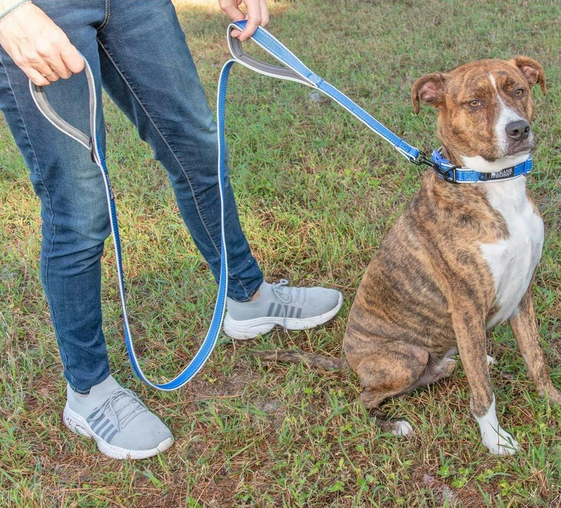 Leashboss Double-Handle Dog Leash